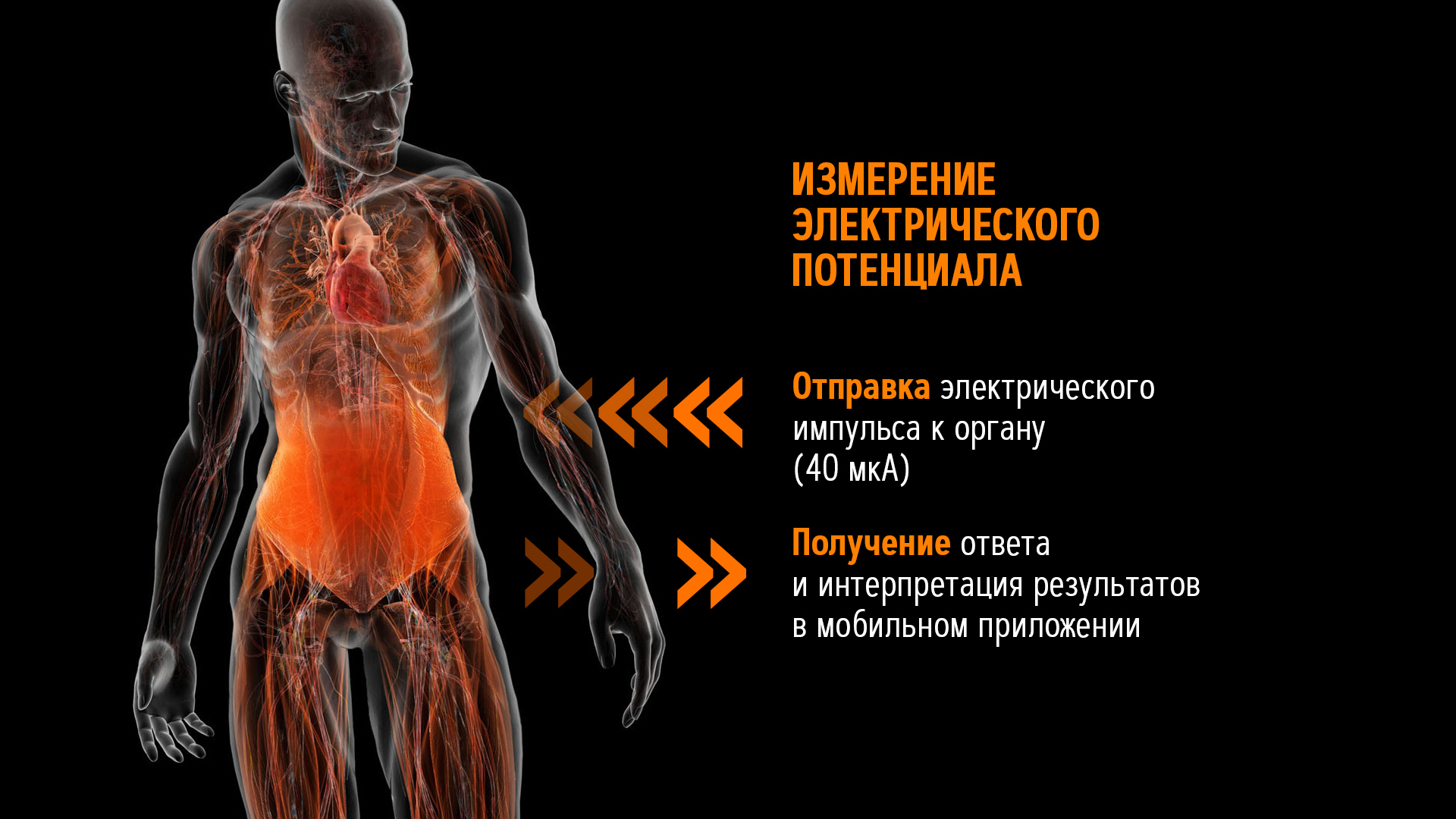 принцип работы RaDoTech мониторинг здоровья Накатани Риодораку